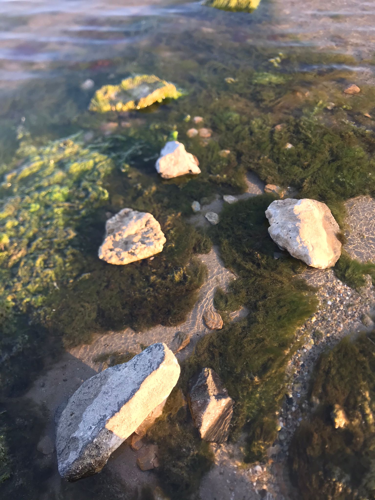 Ganadores del Concurso de Fotografía 